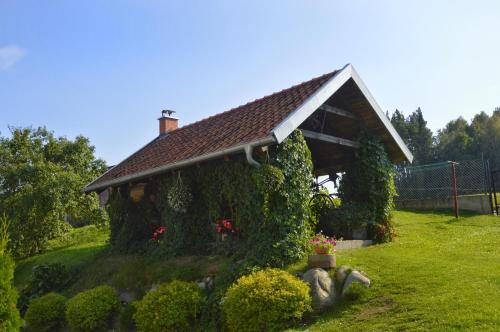a house covered in ivy in a yard at Dom Pod Dębem in Majdy