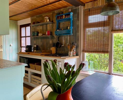Casa Calida – Photos 3