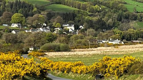 a winding road through a village with yellow flowers at Exmoor retreat on Two Moors Way in Withypool