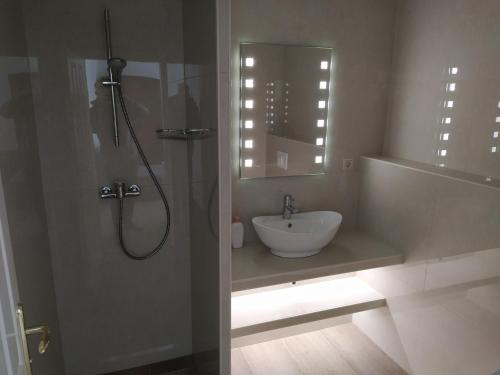 Koupelna v ubytování Apartmaji Maln