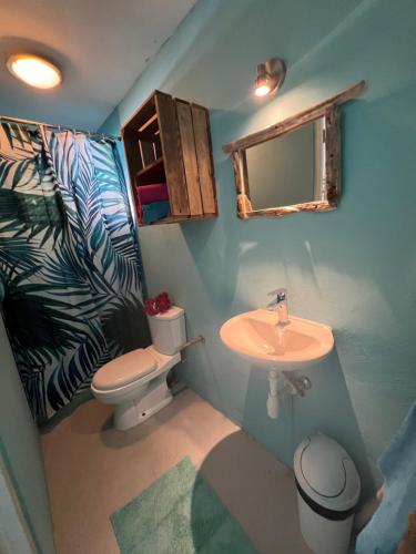 a bathroom with a sink and a toilet and a mirror at Tropical Breeze Curaçao 'Blenchi' in Willemstad