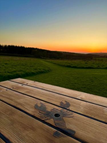 a wooden bench with a daisy painted on it at Pentire Coastal Holiday Park in Bude