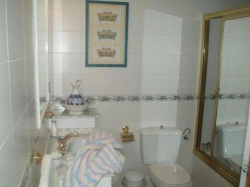 a bathroom with a toilet and a sink and a mirror at Casa Rural El Hollejo in Pulgar
