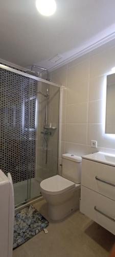 een badkamer met een douche, een toilet en een wastafel bij Karina Apartaments in Torrevieja