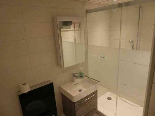 a bathroom with a sink and a shower with a mirror at Tgesa Sunnmatt Nr 46 in Savognin