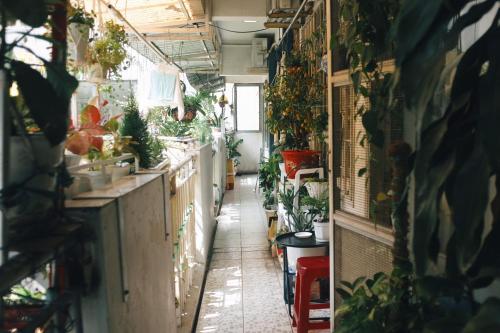 un couloir vide avec des plantes sur les murs dans l'établissement Sweetheart in Saigon, à Hô-Chi-Minh-Ville