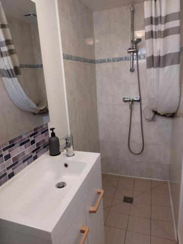 uma casa de banho com um lavatório branco e um chuveiro em La Champêtre em Beaumesnil