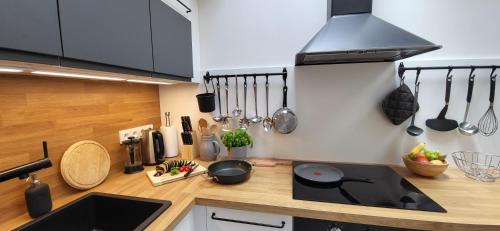 a kitchen with a sink and a stove top oven at Loft Rezidence Vista in Rokytnice nad Jizerou