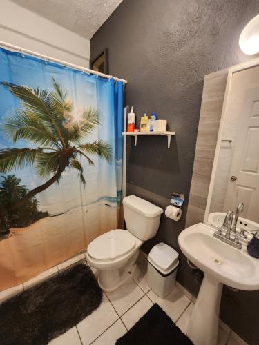 a bathroom with a toilet and a sink and a shower at Lovely studio apartment with balcony AC & wi-fi, minutes from downtown! in Zihuatanejo