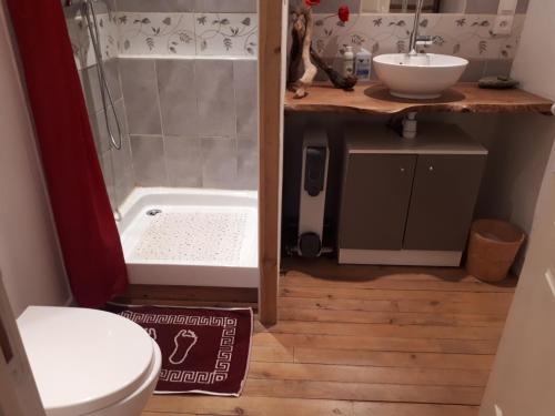 a bathroom with a shower and a toilet and a sink at L'Orme-Vial in Saint-Galmier