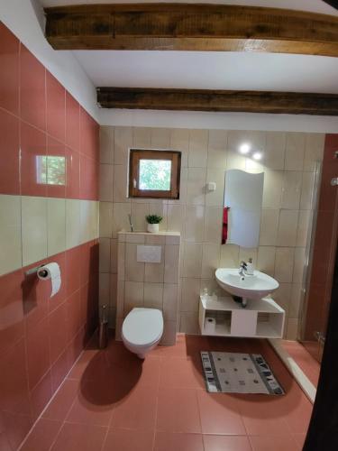 a bathroom with a toilet and a sink at Agroturizam Duvančić - Konoba dida Marka in Drniš