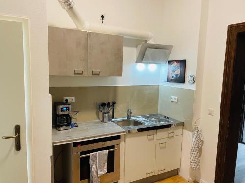 uma pequena cozinha com um lavatório e um fogão em Gemütliches Appartement "Nina" in Halle em Rusches Hof