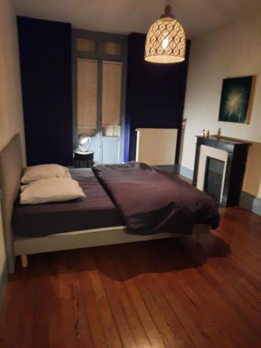 une chambre avec un lit et un lustre dans l'établissement Appartement Jean Paul Sarthe, à Chalon-sur-Saône