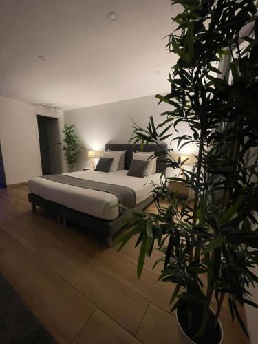 Honey Spa في فيتروي: غرفة نوم بسرير ونبات كبير