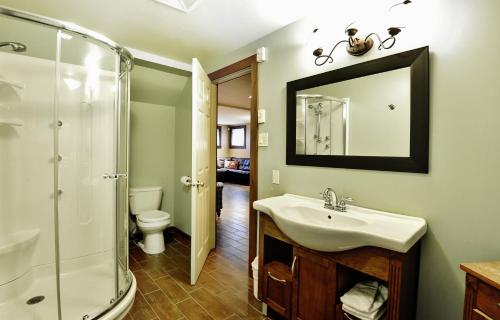 a bathroom with a sink and a shower and a mirror at Chalets Alpins - 16 Chemin des Skieurs in Stoneham