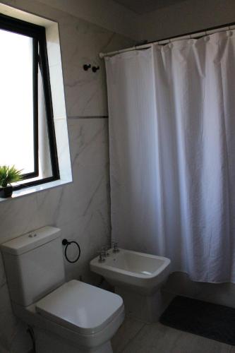 a bathroom with a toilet and a sink and a shower curtain at Mendoza Relax & Comfort in Mendoza