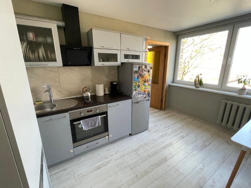 a kitchen with a refrigerator and a sink at Central place with lake view in Šiauliai