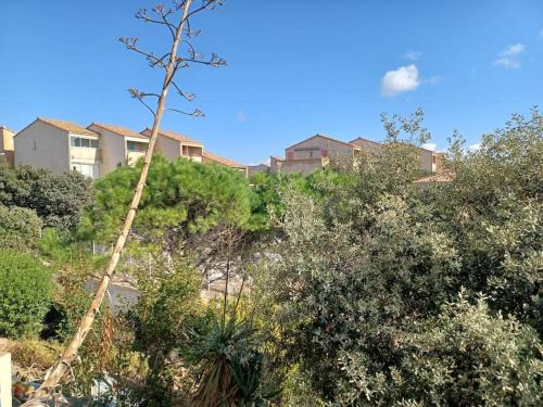 a tree on a hill with bushes and houses at Plain-pied, terrasse, piscine, pleine vue mer, plage à 6' à pied, parking, wifi in Fleury