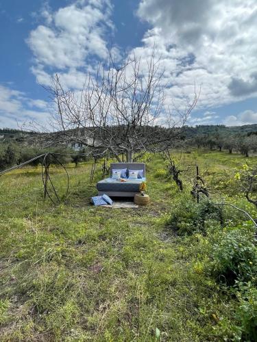 a bed sitting in the middle of a field at Star Sleep Elliniko Heraklio in Heraklio Town