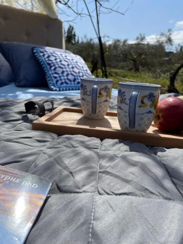 a tray with two cups and an apple on a bed at Star Sleep Elliniko Heraklio in Heraklio Town