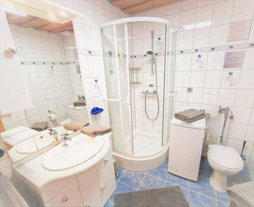 a bathroom with a shower and a sink and a toilet at Bungalow direkt am See, mit eigenem Boot in Roding