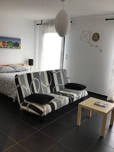 un salon avec un canapé et un lit dans l'établissement Superbe T1 à bastia vue sur mer, à Bastia