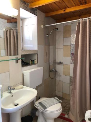 ein Bad mit einem WC, einem Waschbecken und einer Dusche in der Unterkunft ARETI Sea View Mountain Cottage in AmigdhalokeFálion