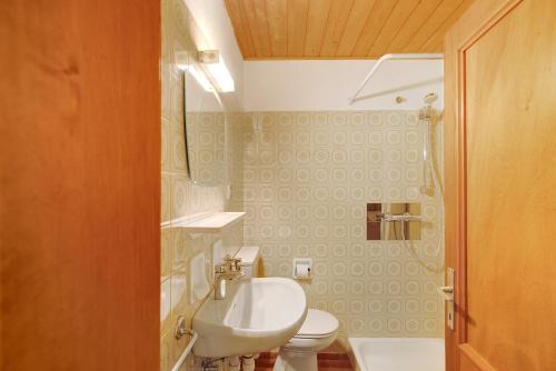 a bathroom with a sink and a toilet and a shower at Pitschlhof Apt Lärche in Aldino