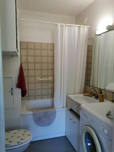 La salle de bains est pourvue d'une douche, de toilettes et d'un lavabo. dans l'établissement Studio, à Gréoux-les-Bains