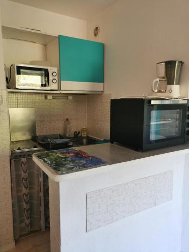 een keuken met een magnetron en een aanrecht bij Studio in Gréoux-les-Bains
