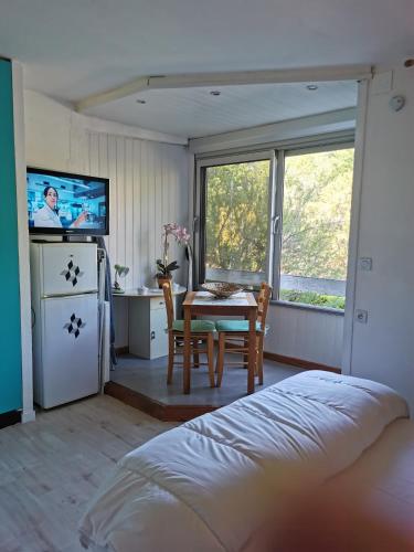 een slaapkamer met een tafel en een keuken met een televisie bij Studio in Gréoux-les-Bains