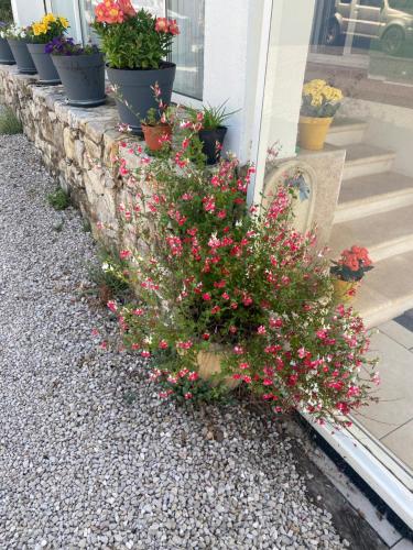 Photo de la galerie de l'établissement lou soleou, à La Celle