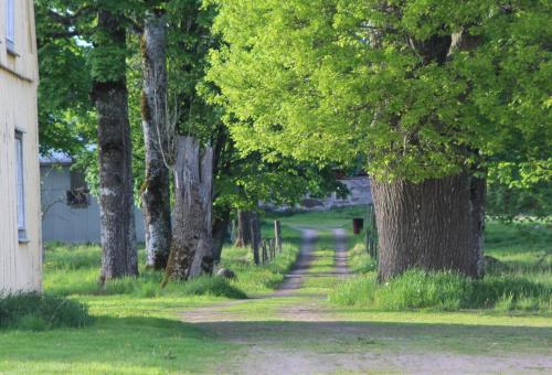 a tree lined path with a house and trees at Yxkullsund Säteri B&B - Manor & Estate since 1662 in Lagan