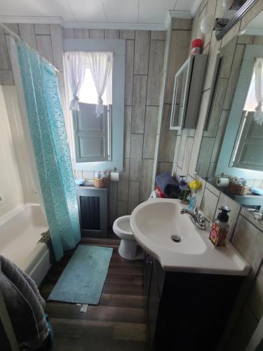 a bathroom with a sink and a toilet and a tub at Cool Vibes Cottage in Renovo