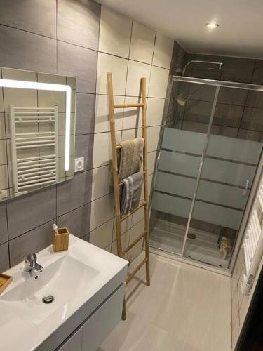 a bathroom with a sink and a shower and a mirror at Gite de Tom et Mag classé 3 * Clevacances in Pontgibaud