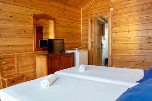a bedroom with two beds and a tv in a cabin at APARTAMENTOS PALASIET in Benidorm