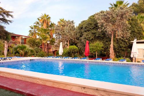 a swimming pool with chairs and umbrellas at APARTAMENTOS PALASIET in Benidorm