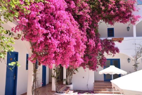 a bunch of pink flowers hanging from a building at Boutique Hotel Tilos Mare in Livadia
