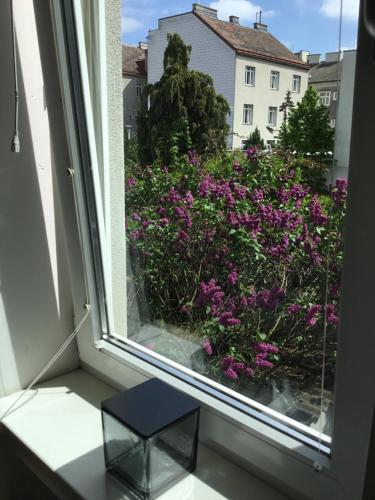 une fenêtre avec vue sur la brousse de fleurs violettes dans l'établissement Earl Grey Apartment Wien, à Vienne