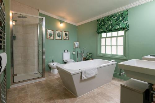 a bathroom with a tub and a shower and a toilet at Abbey Mews in Bath