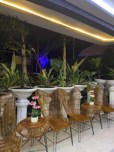 a group of wicker chairs and tables with plants at The VeeHive Guesthouse in Moalboal