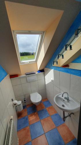 a bathroom with a toilet and a sink and a window at Alpenblick in Leutkirch im Allgäu