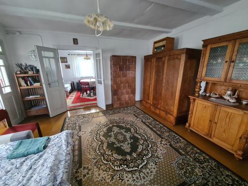 salon z dywanem na podłodze w obiekcie Domek na wsi w mieście Tomaszów Lubelski