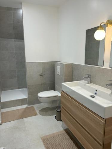 une salle de bain avec un lavabo, des toilettes et un miroir dans l'établissement Corps de ferme alsacien, à Grassendorf