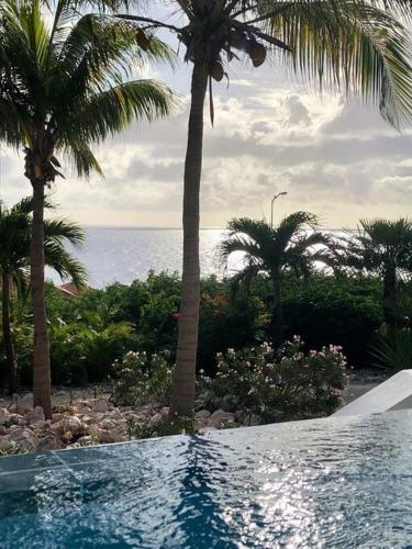 a swimming pool with palm trees and the ocean at VillaDelSol-Ocean Front Resort-Pool-up to 8 Guests-Walk to the Beach in Willibrordus