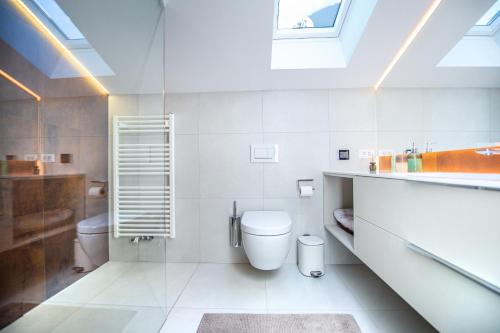 a bathroom with a toilet and a sink at Apartments Raphael in Ortisei