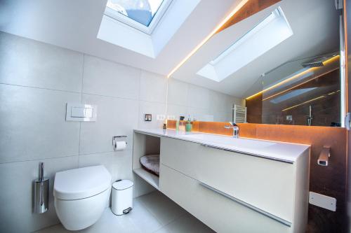 a bathroom with a toilet and a sink with skylights at Apartments Raphael in Ortisei