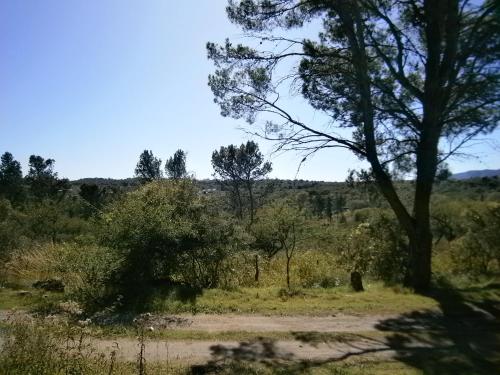 una vista de un campo con un árbol en el primer plano en Vacaciones en Belgrano VP en Villa General Belgrano