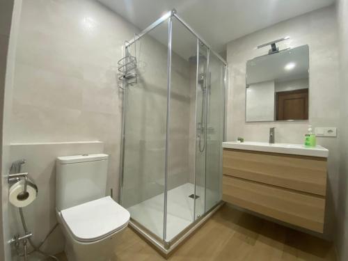 ein Bad mit einer Dusche, einem WC und einem Waschbecken in der Unterkunft Centro, Colón in Alicante