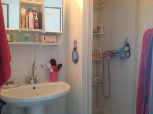 a bathroom with a sink and a shower at Résidence CAP HORN ,13 ter Avenue des Élysées in Valras-Plage